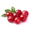 FW Cranberry - Steam E-Juice | The Steamery