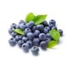 Capella Blueberry - Steam E-Juice | The Steamery
