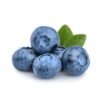 TFA Blueberry Extra - Steam E-Juice | The Steamery